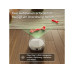 iRobot Roomba Plus 515 Weiss