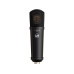 Warm Audio 87jr Grossmembran, Schwarz