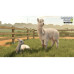 Giants Software Landwirtschafts-Simulator 25 (Box)
