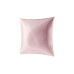 Ailoria BEAUTY SLEEP Maulbeerseide, 65 x 65 cm, Shy Blush Ailoria BEAUTY SLEEP Maulbeerseide, 65 x 65 cm, Shy Blush