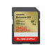 SanDisk SDHC Card Extreme GO 256 GB