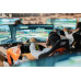 Racing Fuel Simracing Erlebnis-Gutschein CHF 100 Racing Fuel Simracing Erlebnis-Gutschein CHF 100