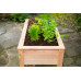 WESTMANN Hochbeet Emily 65 x 120 x 75 cm WESTMANN Hochbeet Emily 65 x 120 x 75 cm