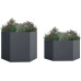 WESTMANN Hochbeete 6-eckig Varia Set WESTMANN Hochbeete 6-eckig Varia Set