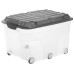Rotho Aufbewahrungsbox Roller 6 Anthrazit 57 l