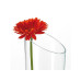 Leonardo Vase Dynamic 30 cm Transparent Leonardo Vase Dynamic 30 cm Transparent