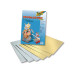 Folia Fotokarton A4 Gold/Silber