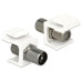 Delock Keystone-Modul IEC - F, (m-f) Weiss