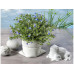 Glorex Kreativ-Beton Creative-Beton 1,5 kg Grau