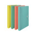Esselte Fächermappe COLOUR‘ICE Grün Esselte Fächermappe COLOUR‘ICE Grün