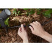 Philips Hue Outdoor Gartenspot Lily 17427/30/P7 Basis Set