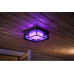 Philips Hue Outdoor Wandleuchte Econic 17438/30/P7