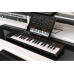 IK Multimedia Keyboard Controller iRig Keys 2
