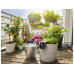 Gardena Bewässerungs-Set AquaBloom