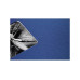 Hama Fotoalbum Fine Art 24 x 17 cm Dunkelblau, 50 schwarze Seiten Hama Fotoalbum Fine Art 24 x 17 cm Dunkelblau, 50 schwarze Seiten