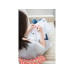 Colop Nio Stempel Little NIO Set Bullet Journal, 10-teilig