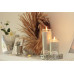 Candle Factory Duftkerze Apfelpunsch Mini Jumbo