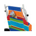 Eurotrail Leiterwagen Beach Trailer