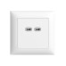 Feller EDIZIOdue USB-Ladesteckdose 2x USB C, 18 W, UP