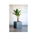 Herstera Pflanzentopf Metal Planter Cube, Anthrazit