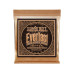 Ernie Ball Gitarrensaiten 2546 Everlast Coated PB – Medium Light 12-54