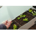 Gusta Garden Hochbeet SAMMY SALAD Starterset, Hellgrau