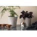 Hoptimist Aufsteller Bumble Hund S, Braun/Weiss