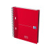 Oxford Notizbuch European Book A5+, kariert, assortiert