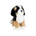 Leo Brummbär Plüsch Sennenhund 35 cm Leo Brummbär Plüsch Sennenhund 35 cm