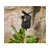 Jardinopia Cane Companions Schmetterling auf Rose