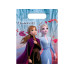 Amscan Geschenktasche Frozen II 6 Stück