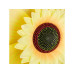 relaxdays Windrad Sonnenblume 70 cm