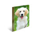 HERMA Gummibandmappe A4 Hunde, Polypropylen, mit Innendruck