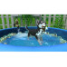 GAME Little Friends: Puppy Island