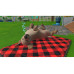 GAME Little Friends: Puppy Island