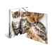 HERMA Gummibandmappe A4 Katzen, Polypropylen, mit Innendruck HERMA Gummibandmappe A4 Katzen, Polypropylen, mit Innendruck