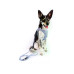 curli Geschirr Vest Air-Mesh 3XS SE24, Elemental-Blue