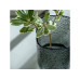 Leonardo Vase Martello 29 cm, Grau
