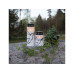 Star Trading LED Grabkerze Taube, Ø 7.5 x 12.5 cm, Weiss