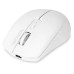 DICOTA Maus Bluetooth Notebook Weiss DICOTA Maus Bluetooth Notebook Weiss