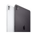 Apple iPad Pro 11 M4 Nano Cellular 2024 1000 GB Space Schwarz