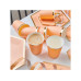 Rico Design Einwegbecher 250 ml 10 Stück, Aprikose/Gold Rico Design Einwegbecher 250 ml 10 Stück, Aprikose/Gold