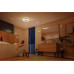 Philips Hue Badezimmerleuchte White & Color Ambiance, Xamento L, BT