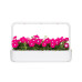 Click and Grow Saatgut Pinke Petunie 3er-Pack Click and Grow Saatgut Pinke Petunie 3er-Pack