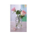Glorex Glas mit Deckel Lili Rose 650 ml 1 Stück