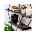 Woody Fashion Wandregal Erysimum 60 x 40 x 15 cm, Schwarz/Walnuss