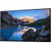 DELL Monitor UltraSharp 24 U2424H ohne Standfuss