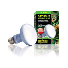 Exo Terra Terrarienlampe Daylight Basking Spot E27, R25/100W