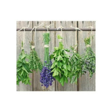 Zeller Present Herdabdeckplatte Kräuter