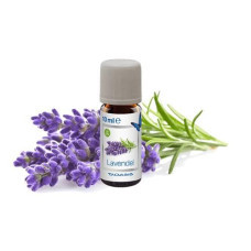 Venta Luftwäscher Duftöl Lavendel, 3 x 10 ml